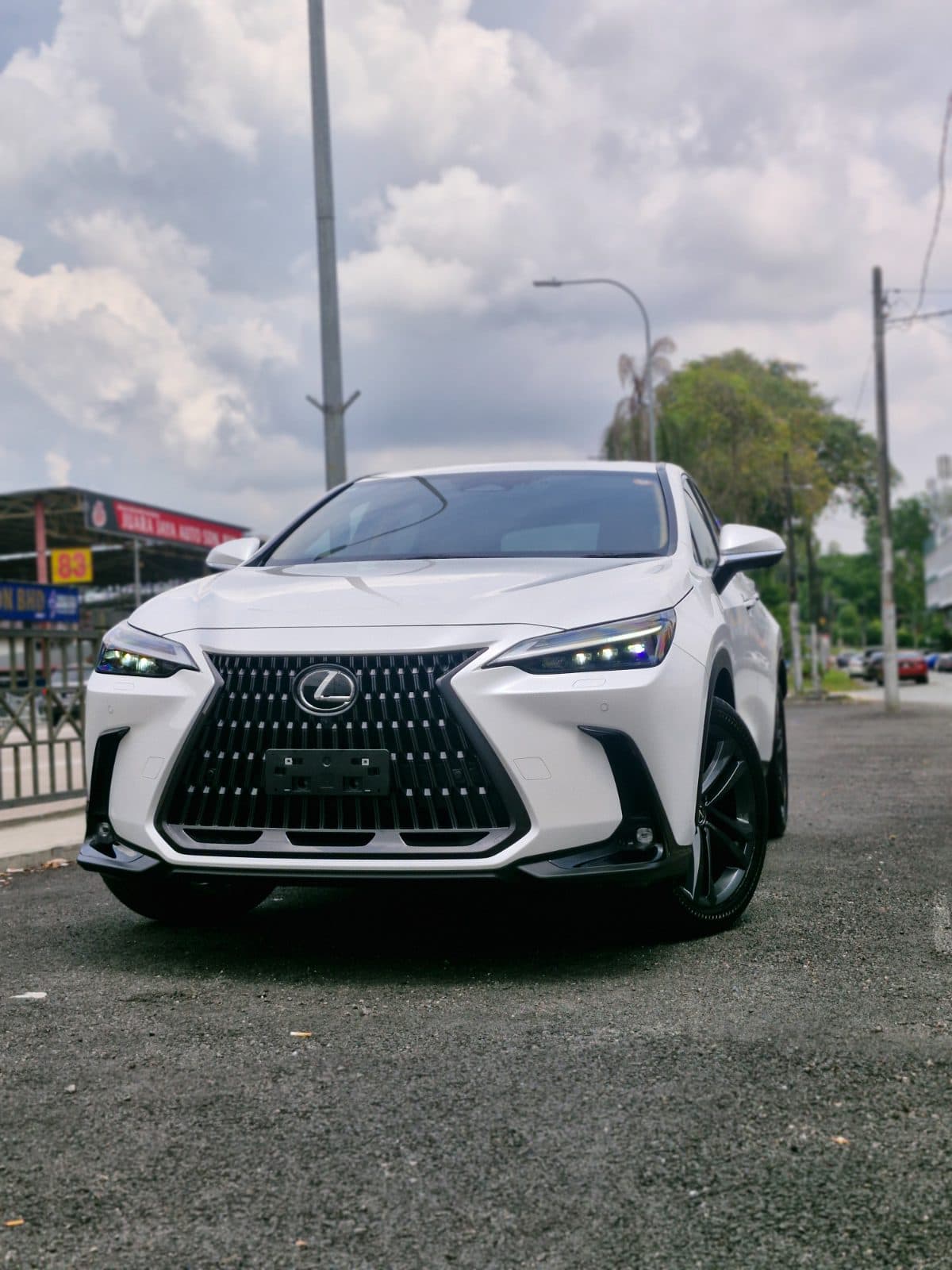 2022 LEXUS NX250 LUXURY