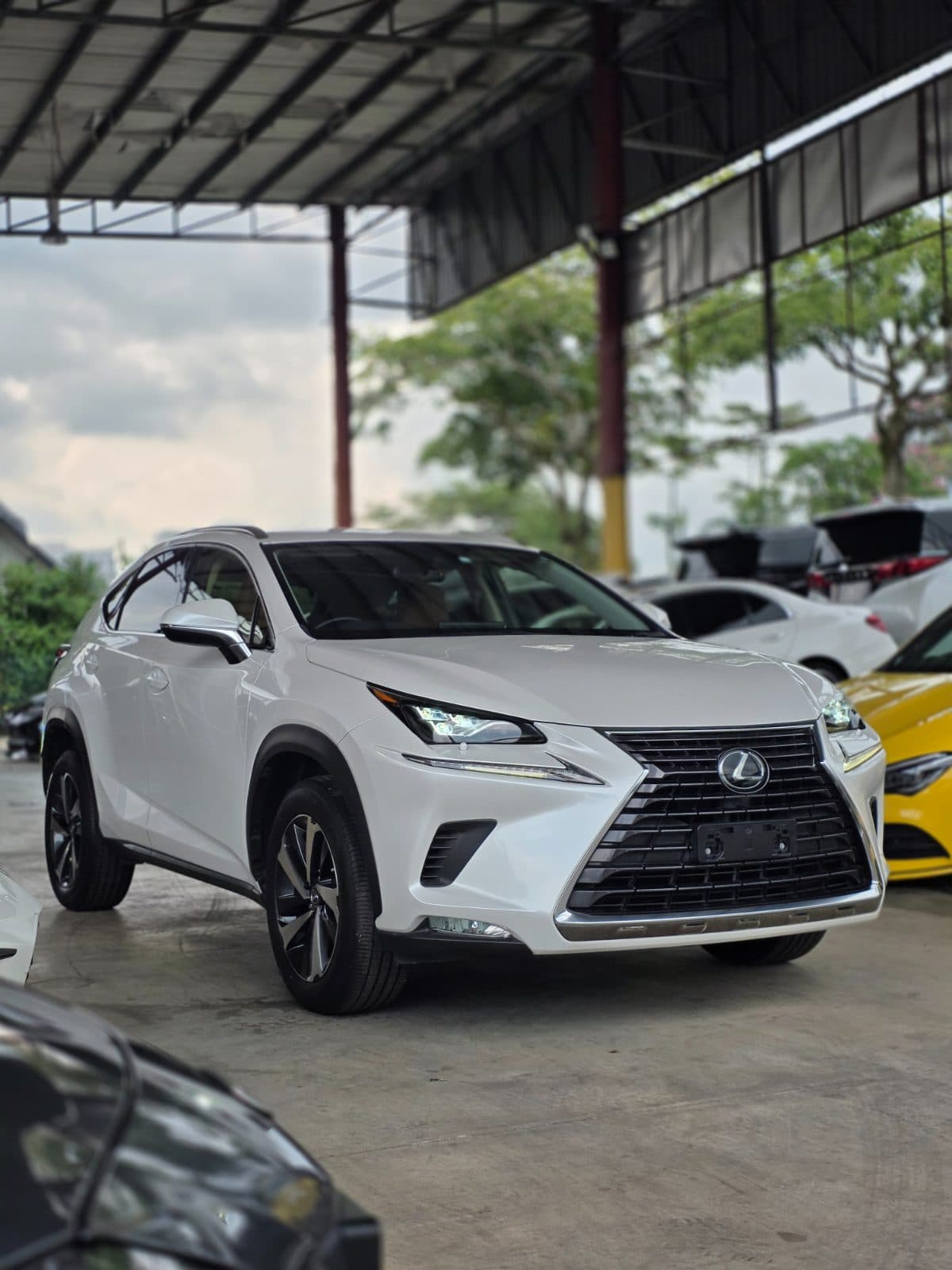 2020 LEXUS NX300 I SPEC